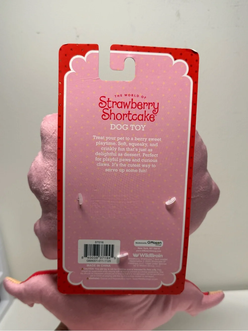 Strawberry Shortcake 18 inch Plush Dog Toy Squeakers